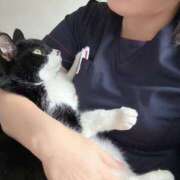 栗原 あやか 昼休み ミセス・レヴォアール～再会～