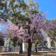 ヒメ日記 2026/03/24 12:13 投稿 まなつ 横浜ハッピーマットパラダイス