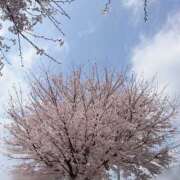 ヒメ日記 2026/03/31 15:43 投稿 まなつ 横浜ハッピーマットパラダイス