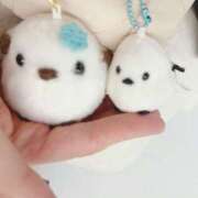 ヒメ日記 2026/04/28 10:23 投稿 まなつ 横浜ハッピーマットパラダイス