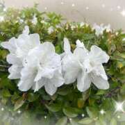 ヒメ日記 2025/05/11 23:30 投稿 つぼみ 奥様の実話 梅田店