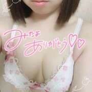 ヒメ日記 2025/12/31 12:48 投稿 つぼみ 奥様の実話 梅田店