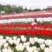にも 大西にも（エコ天王寺店） スピードエコ天王寺店