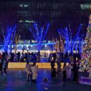 ヒメ日記 2024/12/20 11:45 投稿 むう 山梨甲府甲斐ちゃんこ