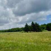 ヒメ日記 2025/07/22 11:28 投稿 むう 山梨甲府甲斐ちゃんこ