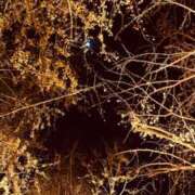 ヒメ日記 2025/11/30 09:38 投稿 むう 山梨甲府甲斐ちゃんこ