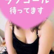 ヒメ日記 2026/02/20 16:55 投稿 むう 山梨甲府甲斐ちゃんこ