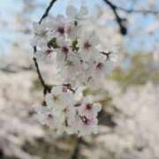 むう 次回出勤 山梨甲府甲斐ちゃんこ