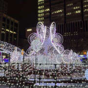 ヒメ日記 2024/12/11 13:17 投稿 アンジュ 恋愛生欲情の扉