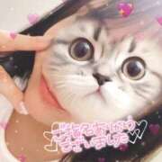 ヒメ日記 2026/03/01 01:26 投稿 ひかる 京都祇園・南インターちゃんこ