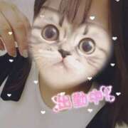 ヒメ日記 2026/03/05 10:59 投稿 ひかる 京都祇園・南インターちゃんこ