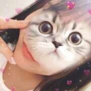 ヒメ日記 2026/03/19 19:23 投稿 ひかる 京都祇園・南インターちゃんこ