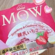 ヒメ日記 2026/03/29 16:20 投稿 ひかる 京都祇園・南インターちゃんこ