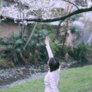 ヒメ日記 2025/04/04 18:15 投稿 さら 素人系イメージSOAP彼女感大宮館