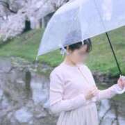 ヒメ日記 2025/04/24 08:15 投稿 さら 素人系イメージSOAP彼女感大宮館