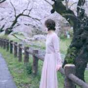 ヒメ日記 2025/05/25 11:15 投稿 さら 素人系イメージSOAP彼女感大宮館