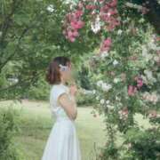 ヒメ日記 2025/06/19 11:30 投稿 さら 素人系イメージSOAP彼女感大宮館