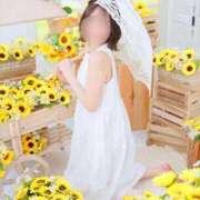 ヒメ日記 2026/07/31 07:15 投稿 さら 素人系イメージSOAP彼女感大宮館
