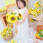 ヒメ日記 2026/09/23 09:45 投稿 さら 素人系イメージSOAP彼女感大宮館