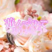 ヒメ日記 2024/04/18 16:45 投稿 ほのか ちゃんこ本厚木店