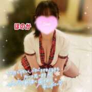 ヒメ日記 2024/12/17 17:05 投稿 ほのか ちゃんこ本厚木店