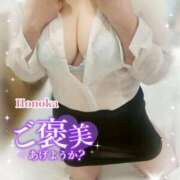 ヒメ日記 2025/01/31 07:45 投稿 ほのか ちゃんこ本厚木店