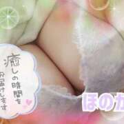 ヒメ日記 2025/02/04 14:02 投稿 ほのか ちゃんこ本厚木店