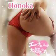 ヒメ日記 2025/02/19 19:00 投稿 ほのか ちゃんこ本厚木店