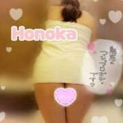 ヒメ日記 2025/04/01 13:30 投稿 ほのか ちゃんこ本厚木店