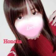 ヒメ日記 2025/11/12 21:49 投稿 ほのか ちゃんこ本厚木店