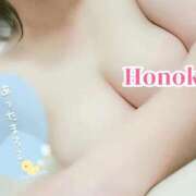 ヒメ日記 2025/12/01 16:15 投稿 ほのか ちゃんこ本厚木店