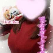 ヒメ日記 2026/02/03 12:37 投稿 ほのか ちゃんこ本厚木店