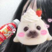 ヒメ日記 2026/02/18 23:34 投稿 あいの カワサキEROTIC（ソープランド）