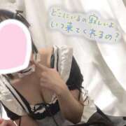 ヒメ日記 2024/12/13 10:33 投稿 しょうこ るっきんぐらぶ