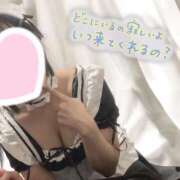 ヒメ日記 2025/02/26 12:55 投稿 しょうこ るっきんぐらぶ