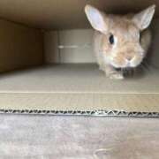 ヒメ日記 2024/12/24 20:55 投稿 まな ゴールドクイーン