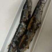 ヒメ日記 2025/10/17 23:28 投稿 まな ゴールドクイーン