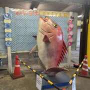 ヒメ日記 2025/11/29 20:01 投稿 まな ゴールドクイーン