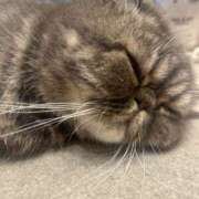 ヒメ日記 2026/03/16 09:16 投稿 まな ゴールドクイーン