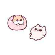 ヒメ日記 2025/05/01 13:28 投稿 いちご ドMバスターズ岡崎・安城・豊田店