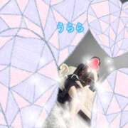 ヒメ日記 2025/01/23 22:18 投稿 うらら プロフィール奈良店