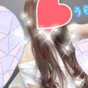 ヒメ日記 2025/02/09 15:24 投稿 うらら プロフィール奈良店