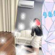 ヒメ日記 2025/03/16 07:00 投稿 うらら プロフィール奈良店