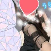 ヒメ日記 2025/03/25 23:53 投稿 うらら プロフィール奈良店