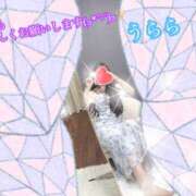 ヒメ日記 2025/06/04 06:17 投稿 うらら プロフィール奈良店