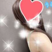 ヒメ日記 2025/07/08 06:00 投稿 うらら プロフィール奈良店