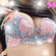 ヒメ日記 2026/04/22 01:37 投稿 うらら プロフィール奈良店