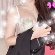 ヒメ日記 2026/04/24 01:00 投稿 うらら プロフィール奈良店