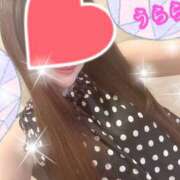ヒメ日記 2026/06/10 02:44 投稿 うらら プロフィール奈良店