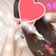 ヒメ日記 2026/07/04 00:32 投稿 うらら プロフィール奈良店